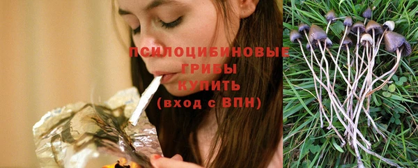 2c-b Пересвет