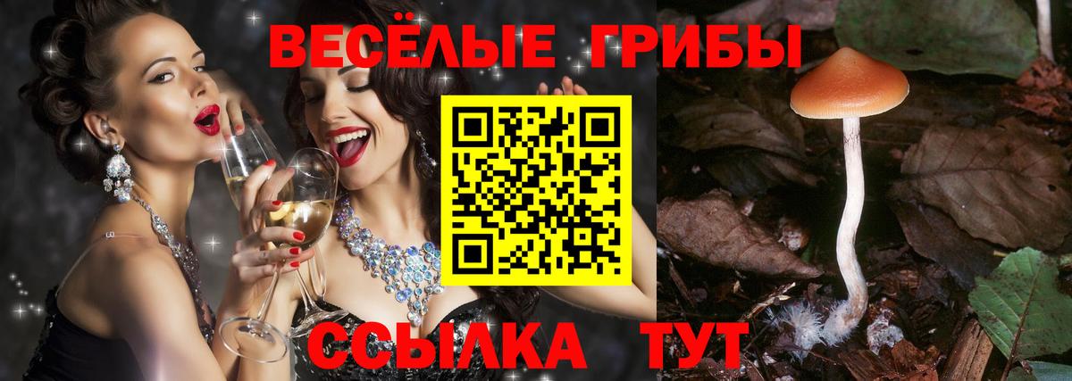Галлюциногенные грибы GOLDEN TEACHER Алушта